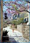 Silva Maris Hotel 